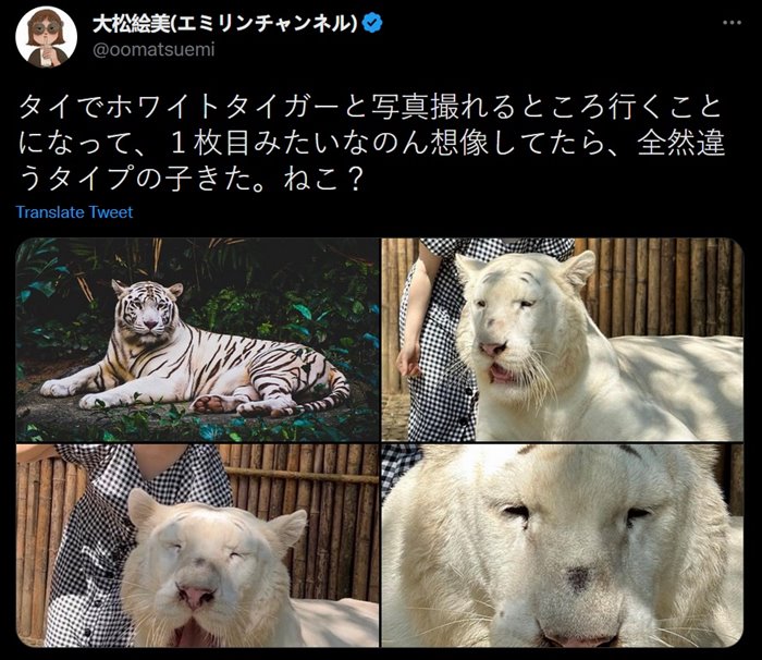 ยูทูบเบอร์มาดูเสือที่ไทย