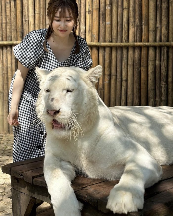 ยูทูบเบอร์มาดูเสือที่ไทย