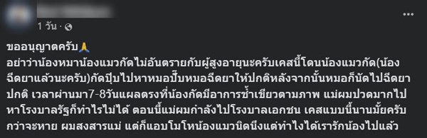 แผลติดเชื้อ