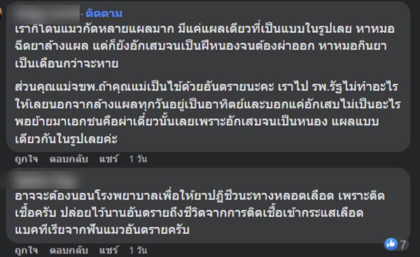 แผลติดเชื้อ