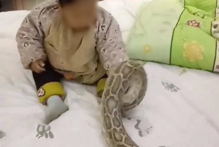 เด็กเล่นงู