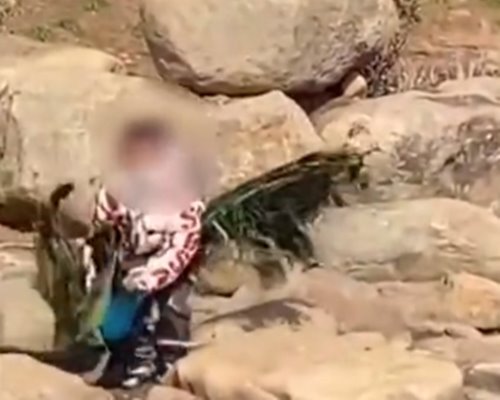 เด็กไล่ถอนขนนกยูง