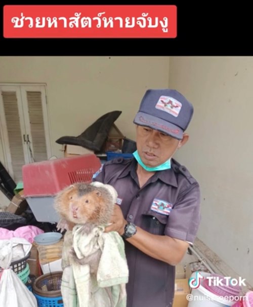 ของขวัญปีใหม่