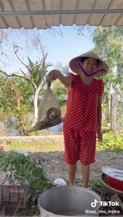 ไส้อั่วงู