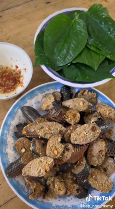 ไส้อั่วงู