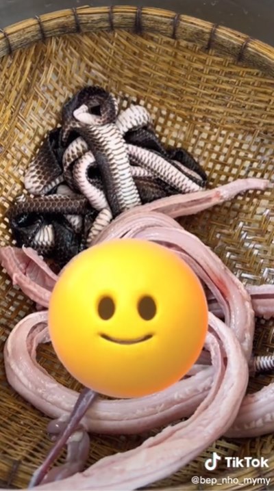 ไส้อั่วงู