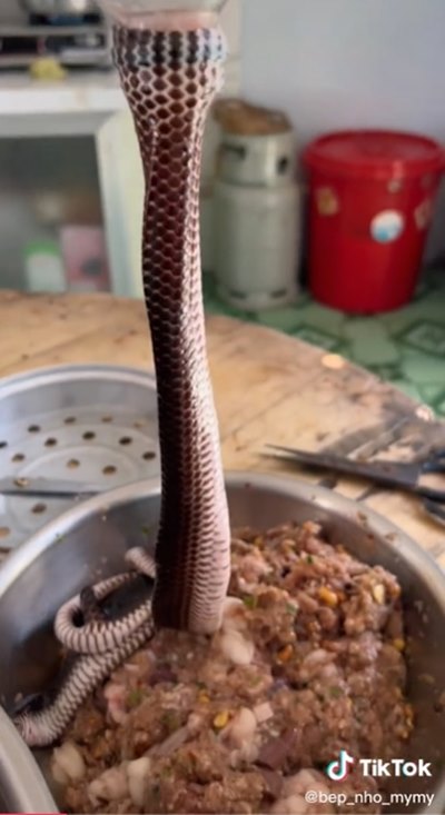 ไส้อั่วงู