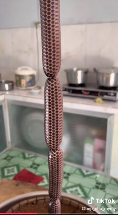 ไส้อั่วงู