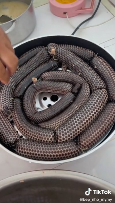 ไส้อั่วงู