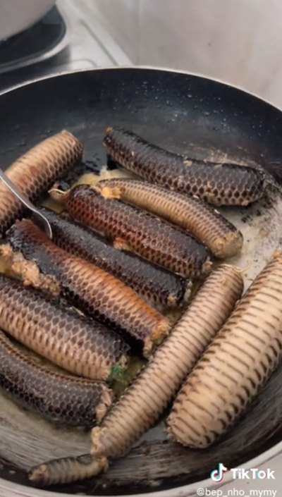 ไส้อั่วงู