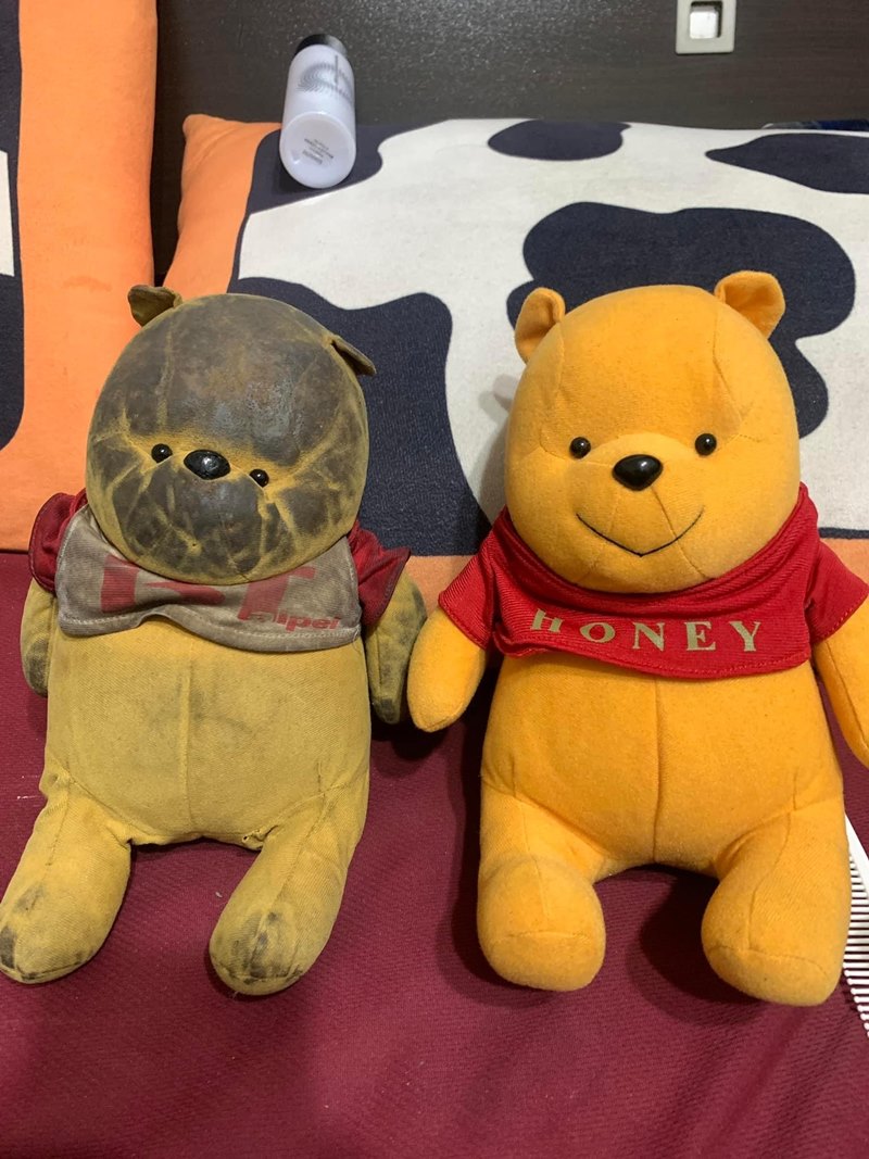 ตุ๊กตาเน่า