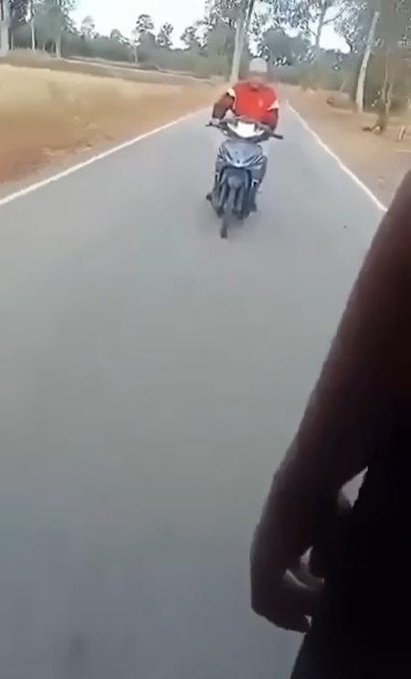 แทงนักเรียน