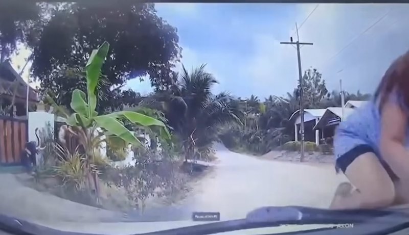 สามีนอกใจ