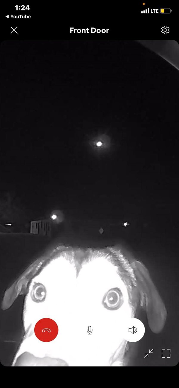 เจ้าเบลีย์