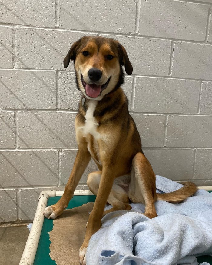 เจ้าเบลีย์