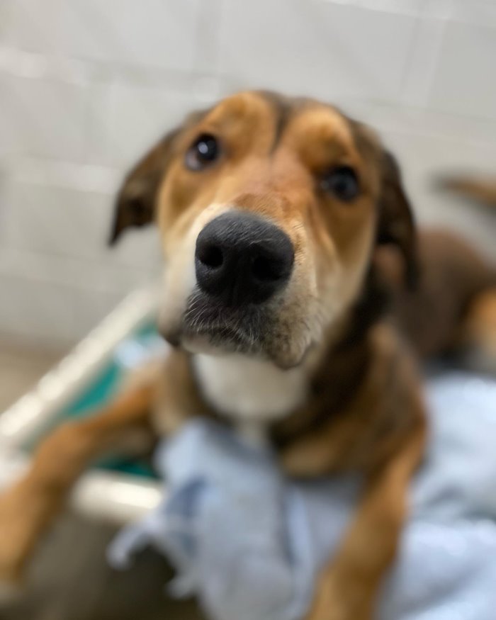 เจ้าเบลีย์