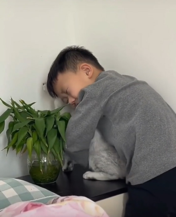 เด็กเลี้ยงแมว