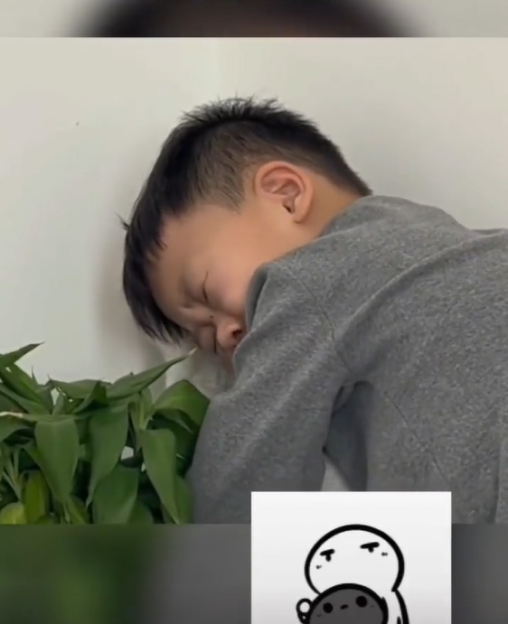 เด็กเลี้ยงแมว