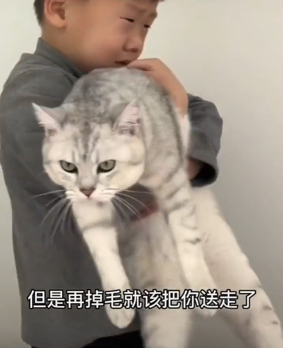 เด็กเลี้ยงแมว