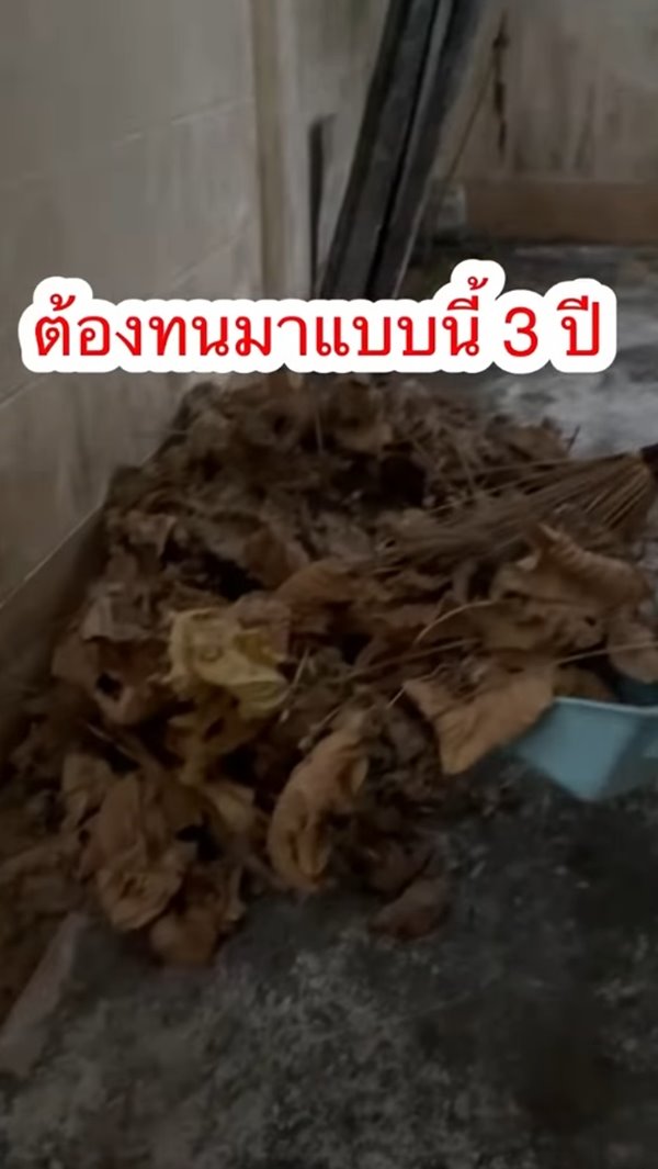 ปัญหาเพื่อนบ้าน