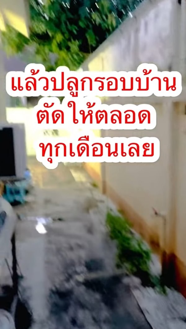 ปัญหาเพื่อนบ้าน