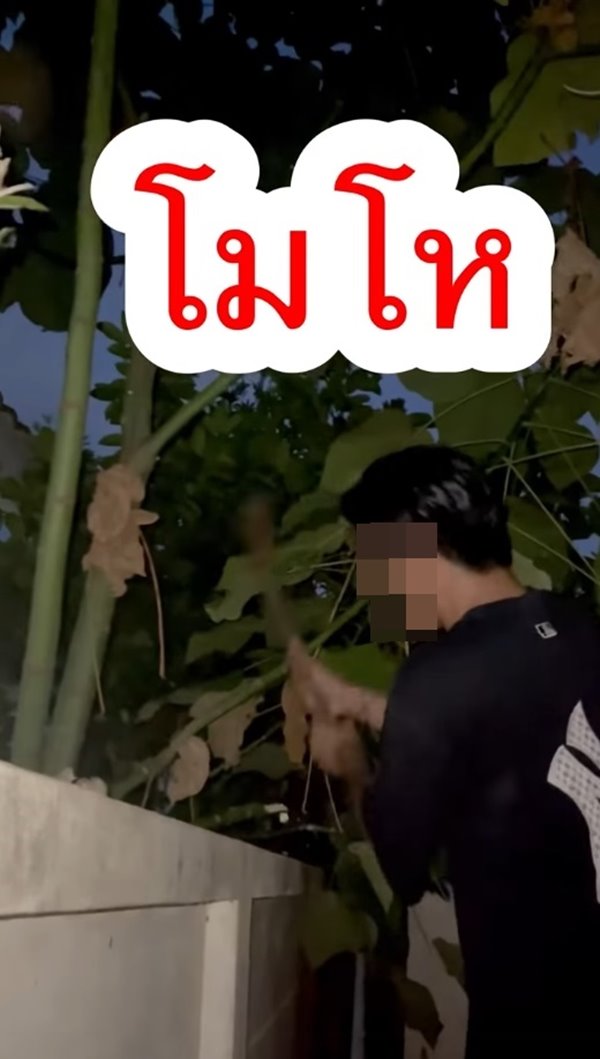 ปัญหาเพื่อนบ้าน