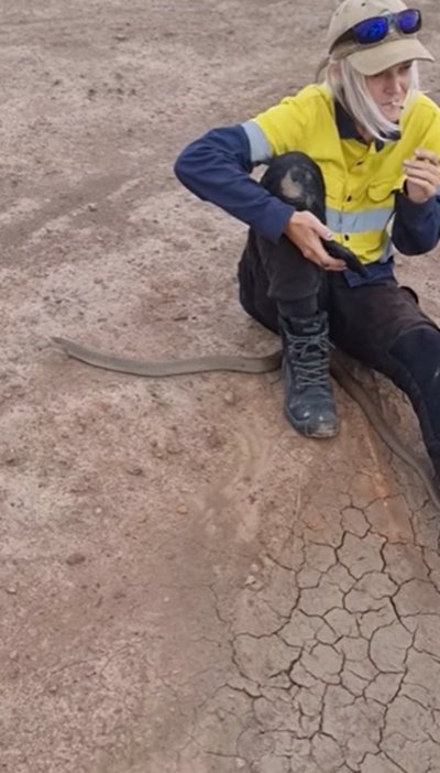 งูเลื้อยผ่านขา