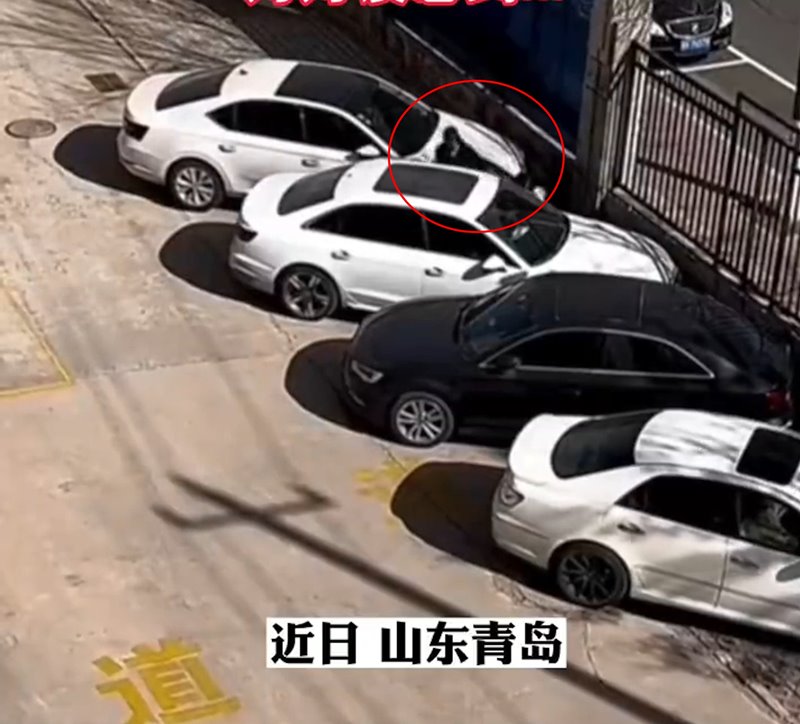 ถอยรถไม่เป็น