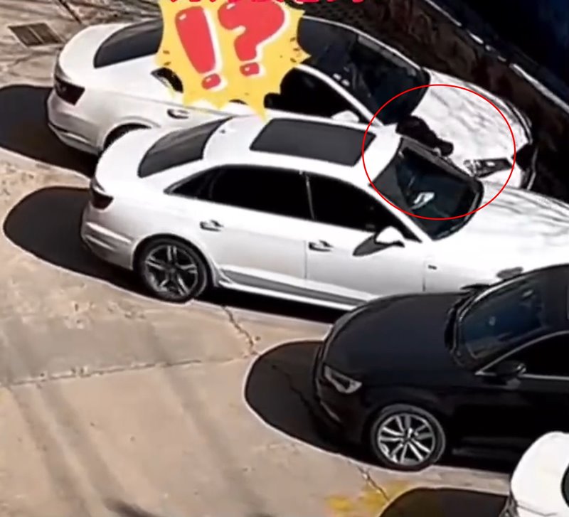 ถอยรถไม่เป็น