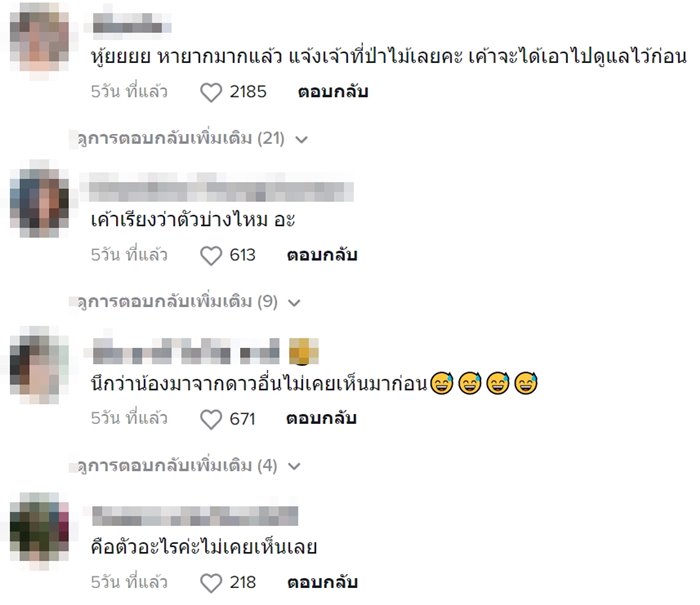 บ่าง