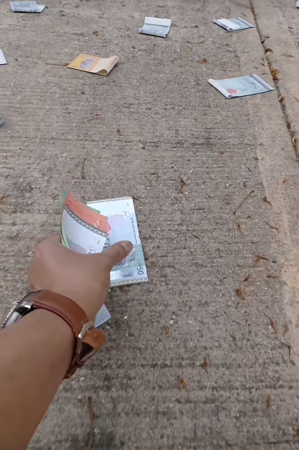 เงินร่วงจากต้นไม้