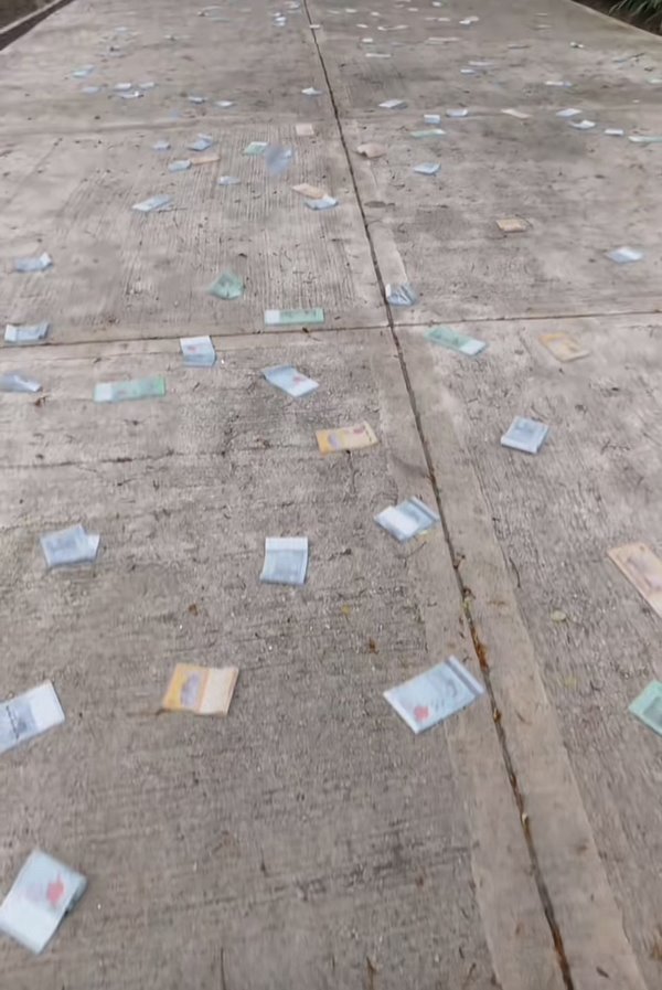 เงินร่วงจากต้นไม้