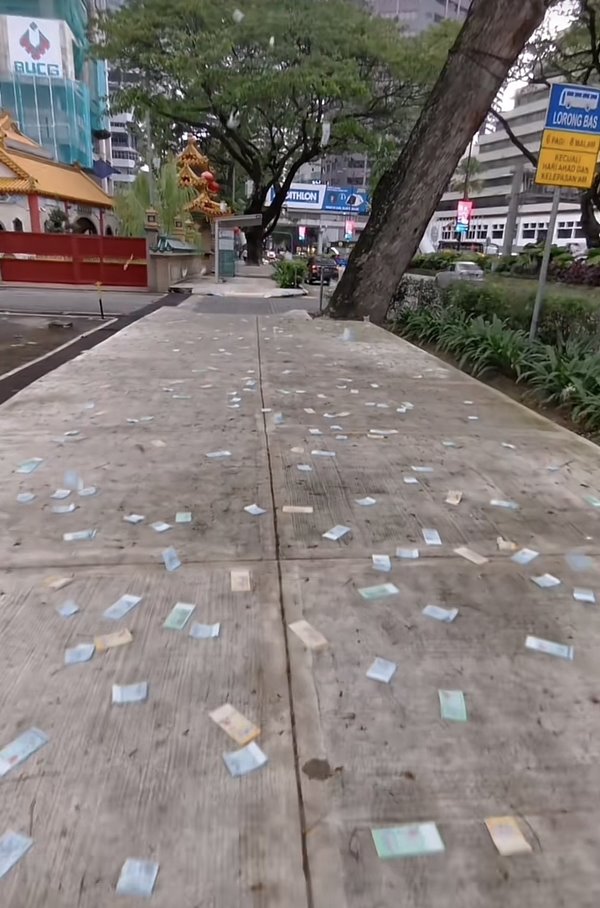 เงินร่วงจากต้นไม้