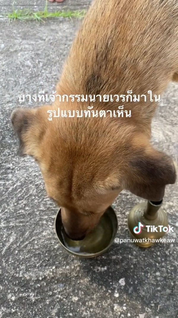 กรวดน้ำ