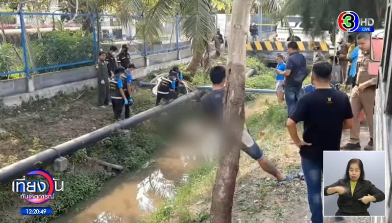 ฆ่าเมีย