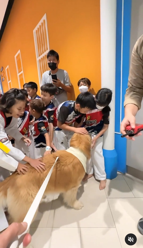 จุ๊มเหม่ง