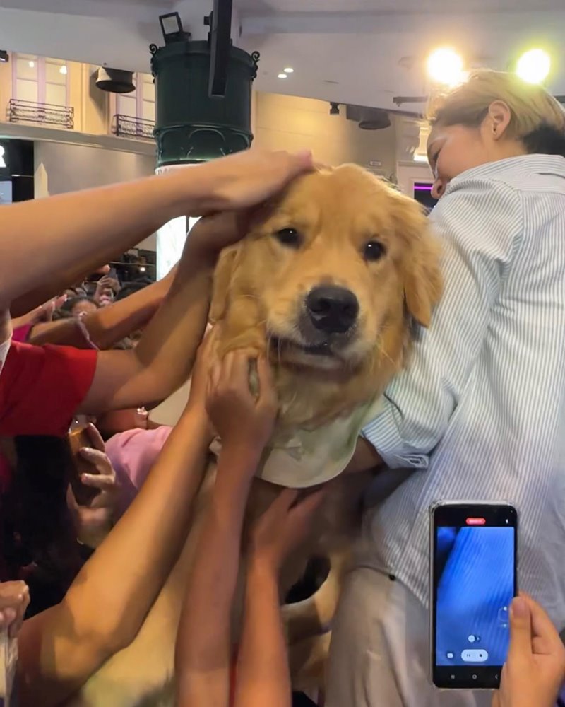 จุ๊มเหม่ง