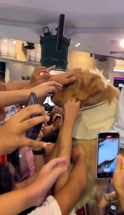 จุ๊มเหม่ง