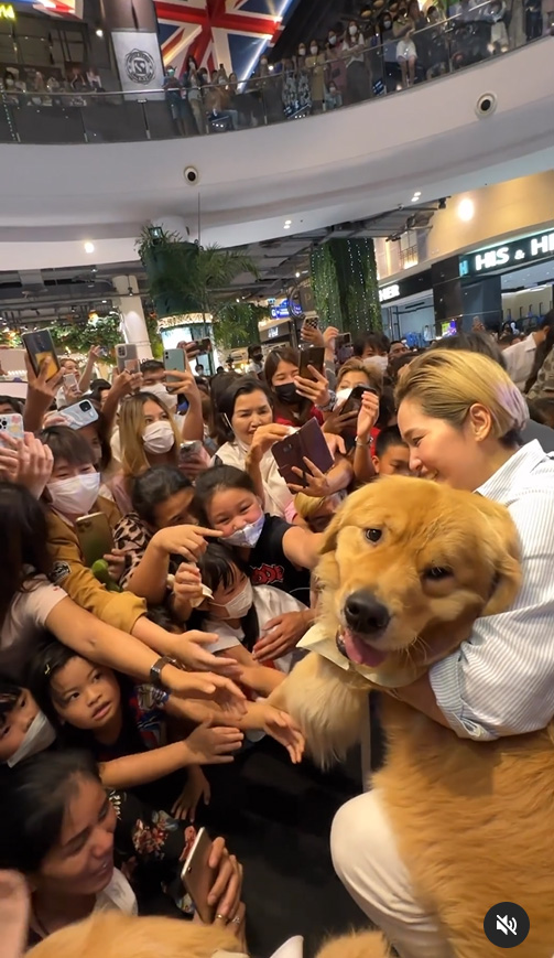 จุ๊มเหม่ง