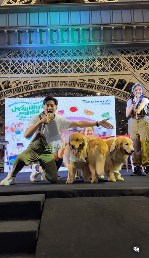 จุ๊มเหม่ง