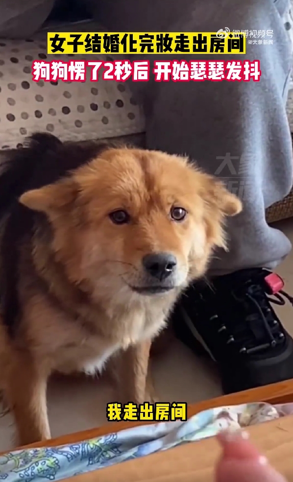 สวยจนหมากลัว