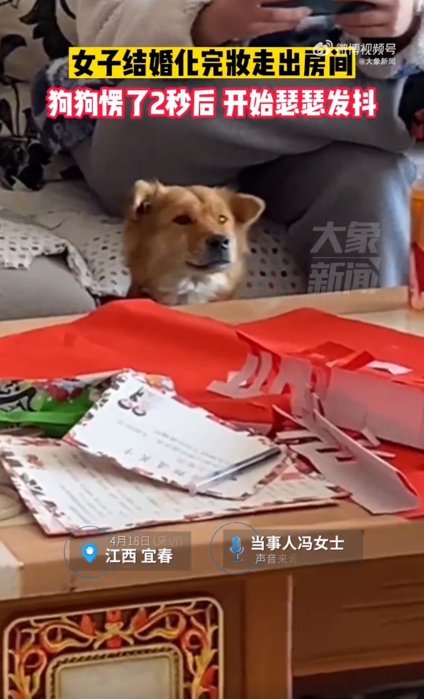 สวยจนหมากลัว