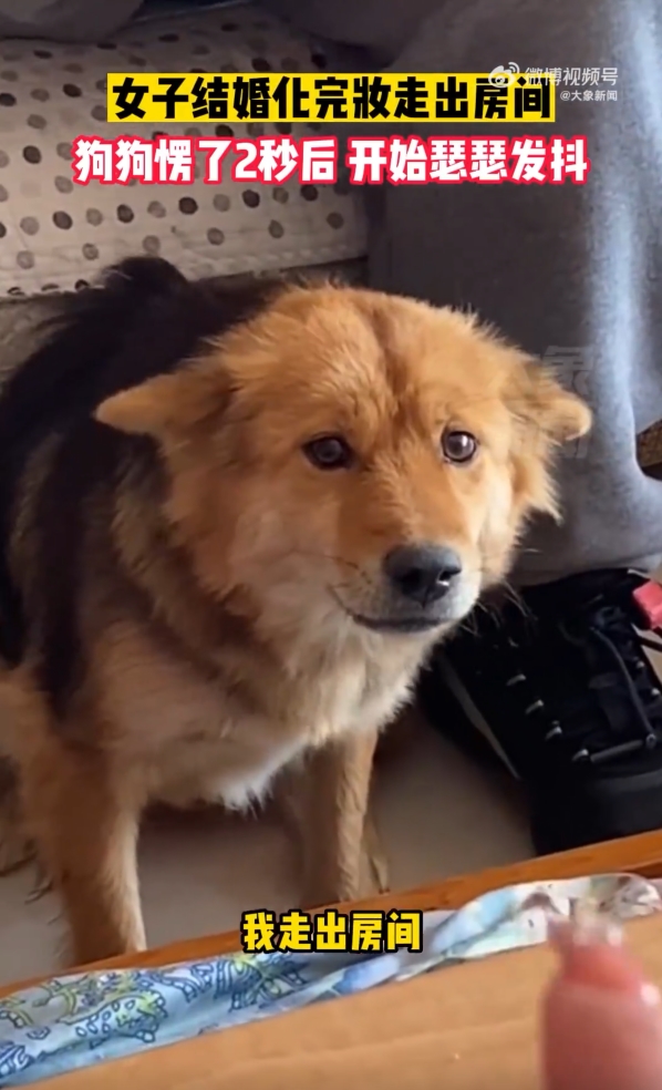 สวยจนหมากลัว