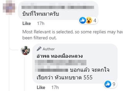 บินโดรน