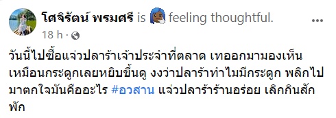 มือในปลาแจ่ว