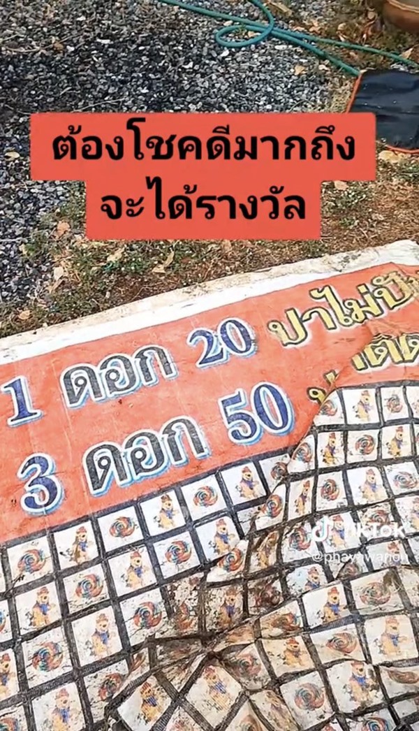 ปาลูกดอกงานวัด