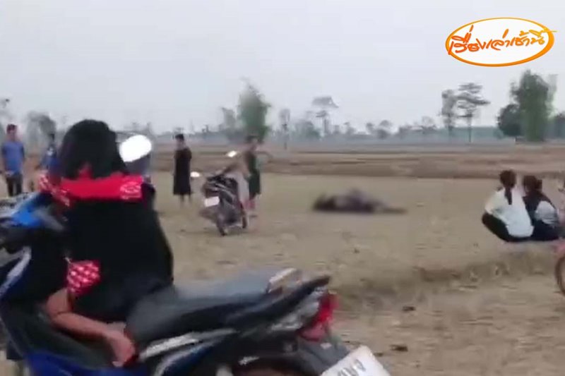 พายุฤดูร้อน