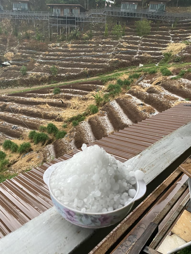 พายุฤดูร้อน