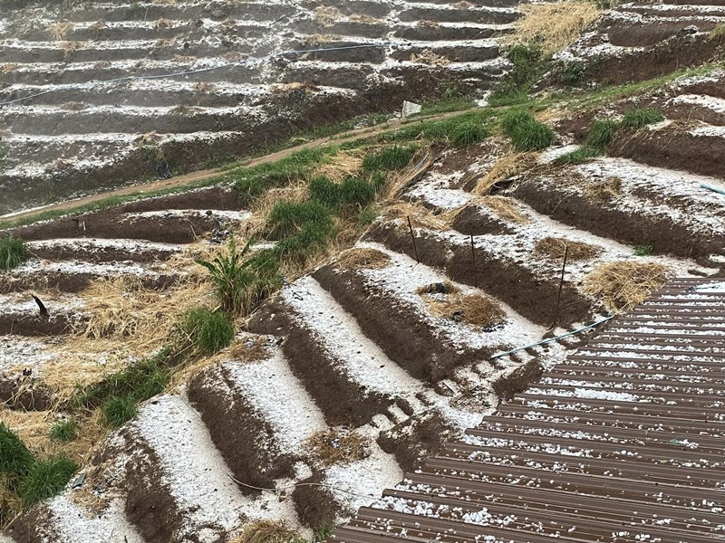 พายุฤดูร้อน