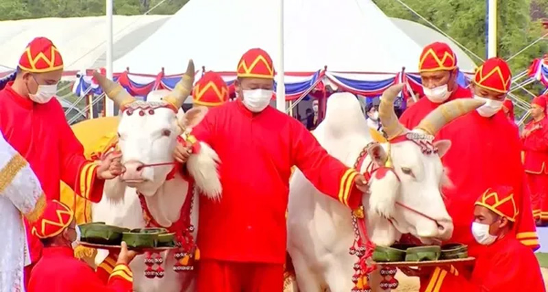 วันพืชมงคล 2566